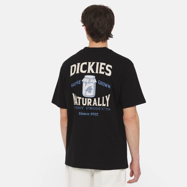 Dickies Elliston T-shirt Zwart