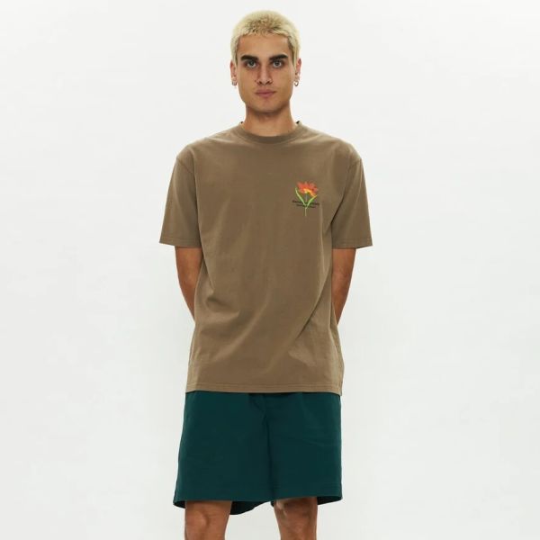 New Amsterdam Surf Association Tulip T-shirt Bruin