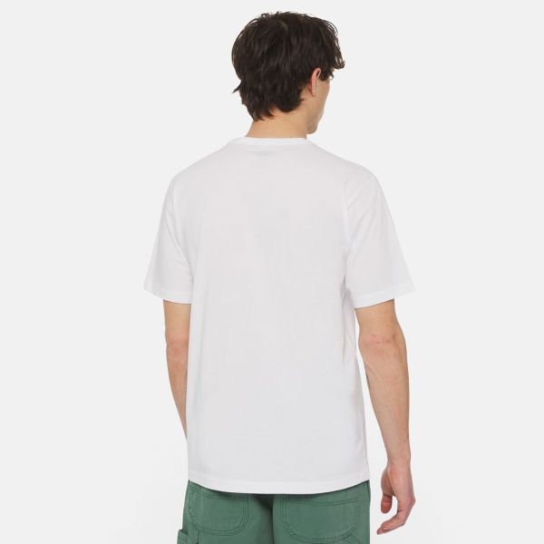 Dickies Aitkin T-shirt Wit