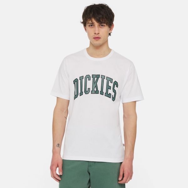 Dickies Aitkin T-shirt Wit
