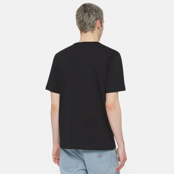 Dickies Aitkin T-shirt Zwart