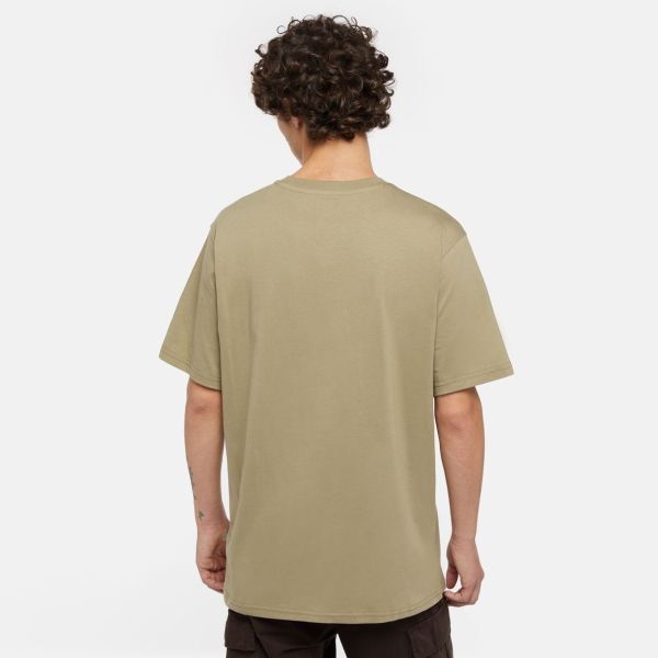 Dickies Mapleton T-shirt Licht Groen