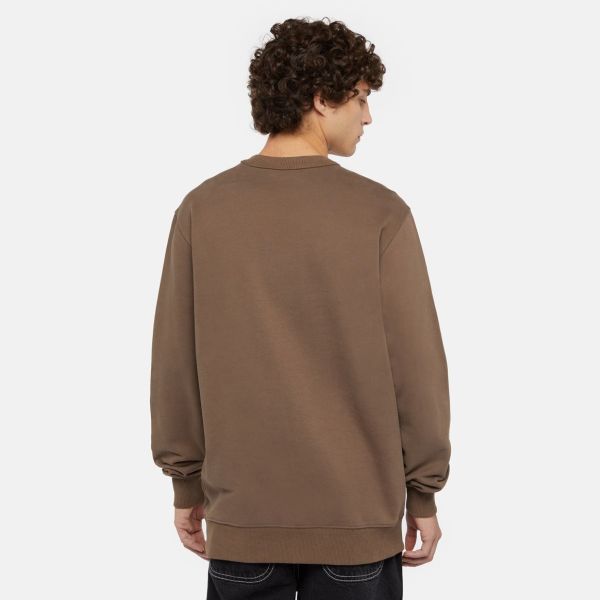 Dickies Aitkin Sweater Bruin