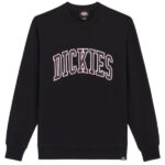 Dickies Aitkin Sweater Zwart