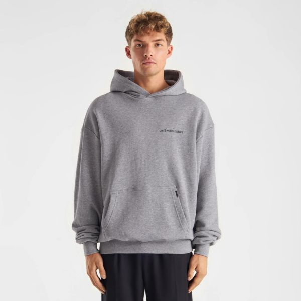 Don't Waste Culture Ray Hoodie Grijs