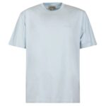 Woolrich Premium Jersey Logo T-shirt Licht Blauw