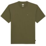 Dickies Clancy Heavyweight T-shirt Donker Groen