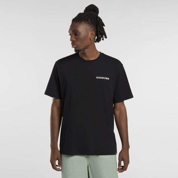 Dickies Landscape T-shirt Zwart