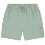 Dickies Pelican Rapids Korte Broek Groen
