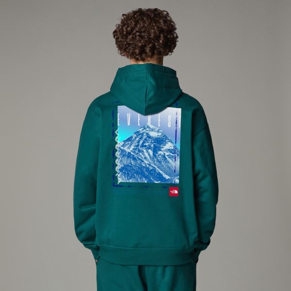 The North Face Axys Oversized Hoodie Donker Groen