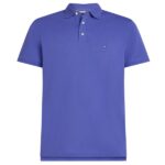 Tommy Hilfiger Polo Blauw