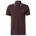 Boss Passertip Polo Bruin