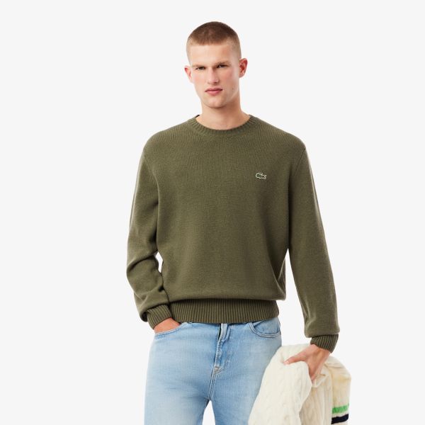 【今だけお買い得！】LACOSTE Knit Sweater(green) Lacoste Knitted Sweater Donker Groen | Mezaldy.com