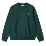 Carhartt WIP American Script Sweater Donker Groen