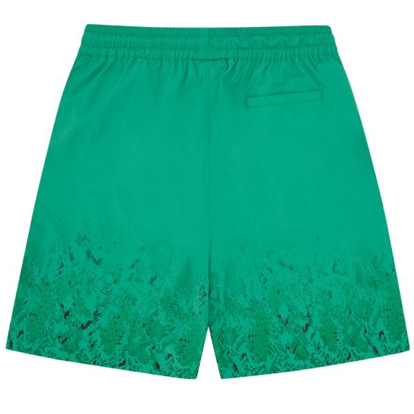 Icecream Gradient Snakeskin Running Dog Zwembroek Groen