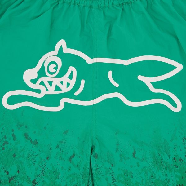 Icecream Gradient Snakeskin Running Dog Zwembroek Groen