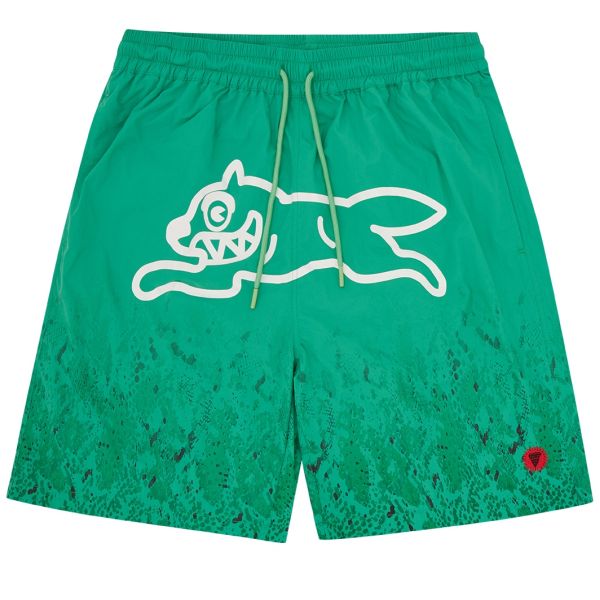 Icecream Gradient Snakeskin Running Dog Zwembroek Groen