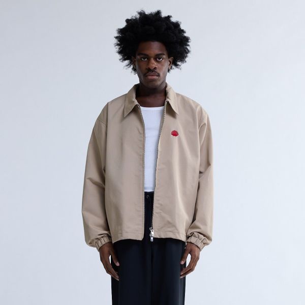 New Amsterdam Surf Association Coach Jack Beige