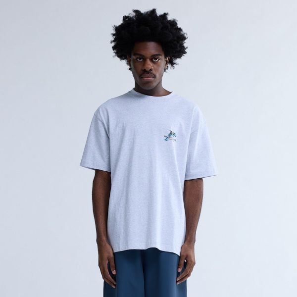 New Amsterdam Surf Association Dolphin T-shirt Grijs