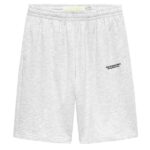 New Amsterdam Surf Association Flow Korte Broek Grijs