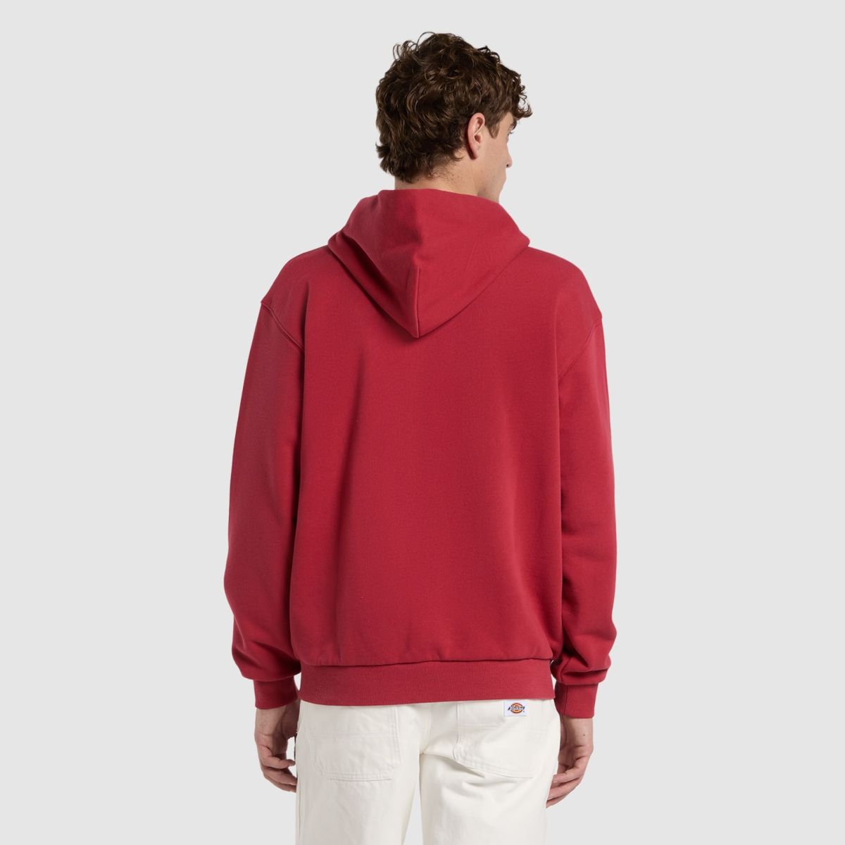 Dickies Sweaters & Hoodies voor heren online kopen