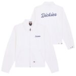 Dickies Wellsville Painter Jack Wit
